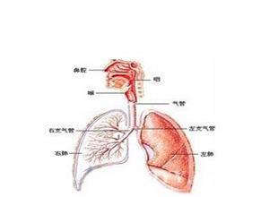 羰基镍中毒