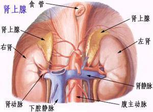 周期性麻痹