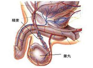 男性生殖腺机能减退症