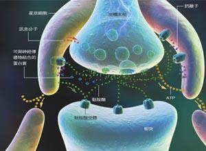 镁缺乏症
