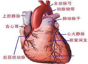 慢性心功能不全