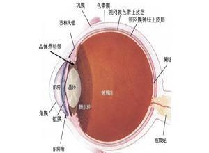 搏动性眼球突出症