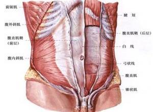 穿腹膜疝