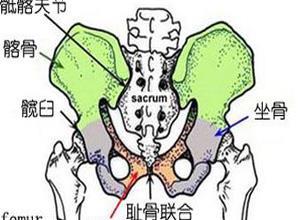 骶髂关节扭伤