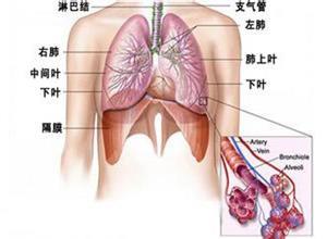 支气管炎