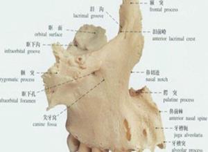 喙突胸小肌综合征