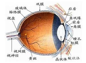 低眼压性青光眼