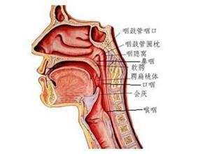 口咽部粘连