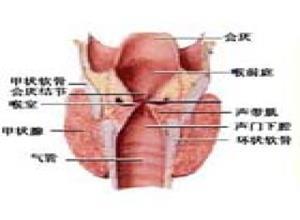 先天性声带发育不良