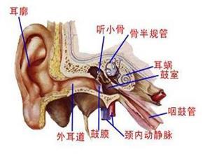 咽鼓管阻塞