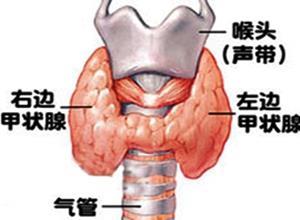 甲状腺功能减退伴发的精神障碍