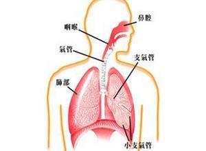 躯体疾病伴发的精神障碍