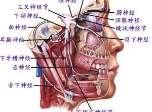 进行性延髓麻痹