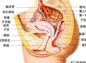 先天性肛门直肠狭窄