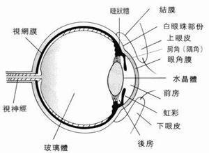 屈光参差