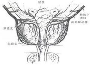 小儿尿路感染