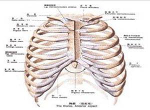 肋骨骨髓炎