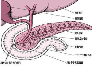 奥迪括约肌功能异常