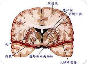 小儿精神发育迟缓