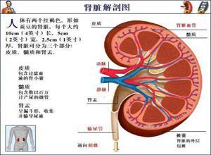 近端肾小管性酸中毒