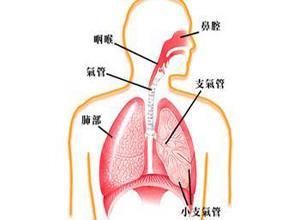 呼吸系统疾病伴发的精神障碍