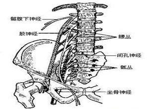 股神经卡压综合征