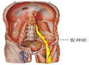 股神经损伤