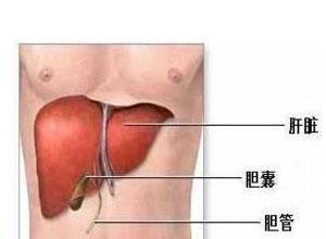 老年人病毒性肝炎