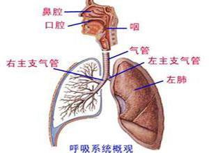 老年人流行性感冒