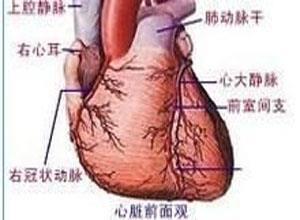 老年人脑心综合征