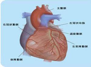 老年人心脏猝死