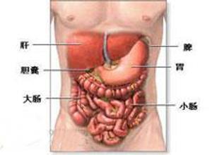 粗制棉子油中毒