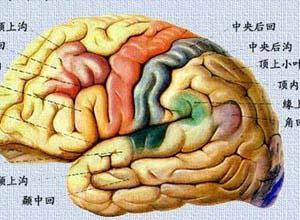 失用症