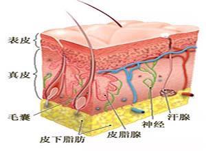 水痛症