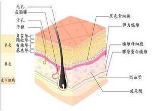 特发性皮肤钙化病