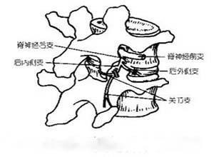 臀上皮神经干痛