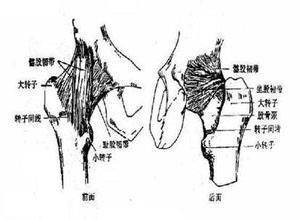 小儿关节过度活动综合征