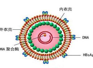 肝炎双重感染