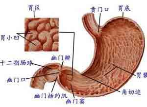 小儿急性胃炎