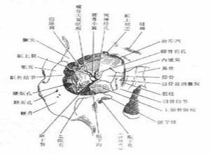 小儿颈交感神经麻痹综合征