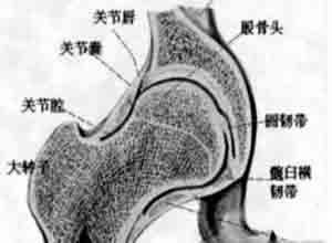 小儿赖特综合征