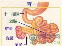 小儿蓝尿布综合征