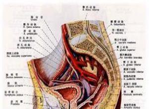 小儿先天性肾盂输尿管连接部梗阻