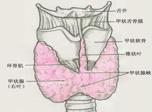 亚临床甲状腺功能亢进