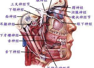 延髓性麻痹