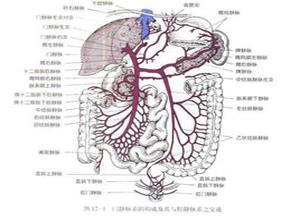 乙状结肠造口旁沟疝