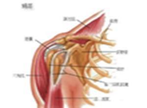 自身免疫性甲状腺疾病相关肾病