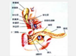 自身免疫性胰腺炎