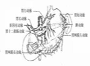 Alagille综合征