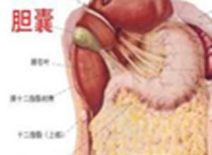 胆热